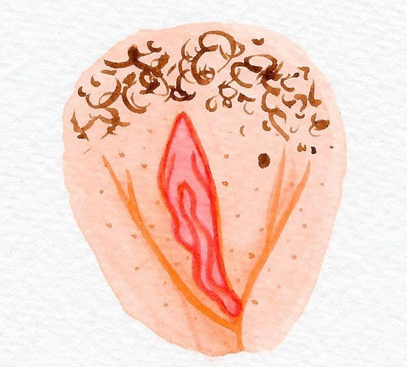 The Vulva Gallery : la exposición de arte que muestra vulvas - psicologos online