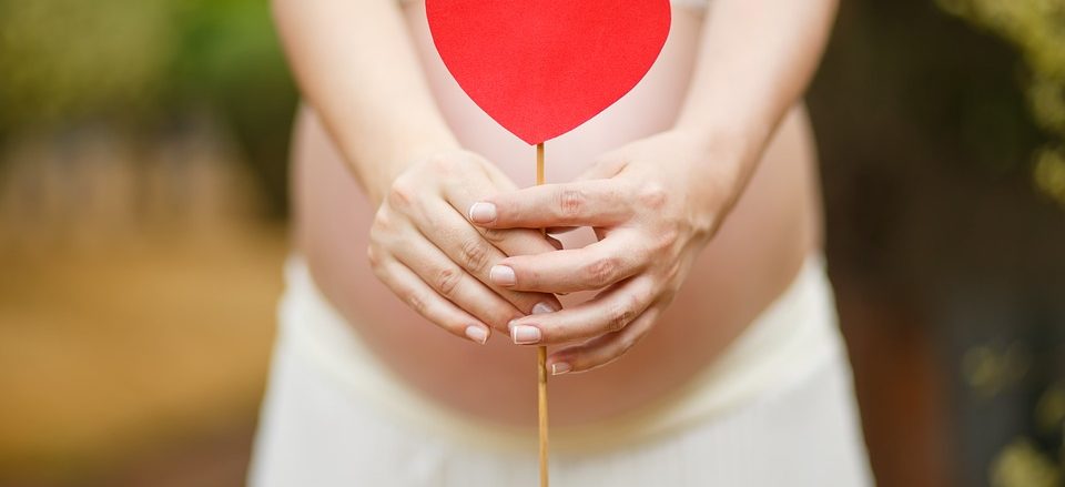 La guía para quedar embarazada pronto- sexologos online